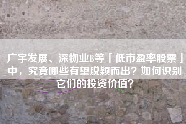 广宇发展、深物业B等「低市盈率股票」中，究竟哪些有望脱颖而出？如何识别它们的投资价值？