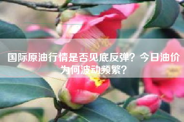 国际原油行情是否见底反弹？今日油价为何波动频繁？