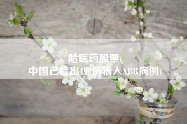 哈医药股票(
中国已检出199例输入XBB病例)