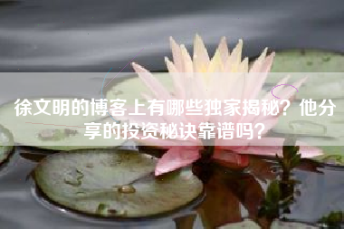 徐文明的博客上有哪些独家揭秘？他分享的投资秘诀靠谱吗？