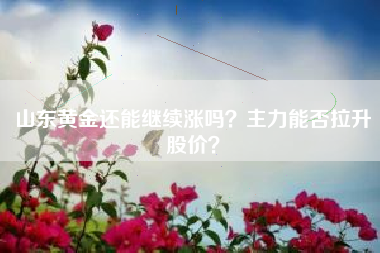 山东黄金还能继续涨吗？主力能否拉升股价？