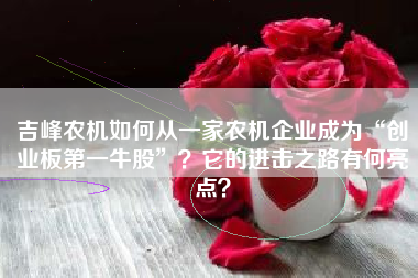 吉峰农机如何从一家农机企业成为“创业板第一牛股”？它的进击之路有何亮点？