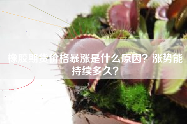 橡胶期货价格暴涨是什么原因？涨势能持续多久？