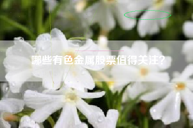 哪些有色金属股票值得关注？