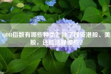 QDII指数有哪些种类？除了投资港股、美股，还能选择哪些？