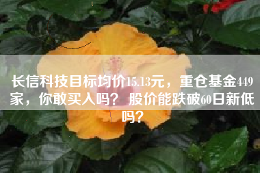 长信科技目标均价15.13元，重仓基金449家，你敢买入吗？ 股价能跌破60日新低吗？