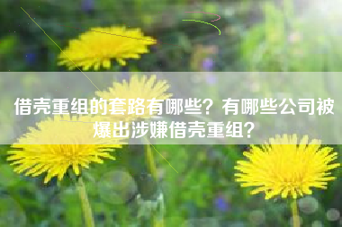 借壳重组的套路有哪些？有哪些公司被爆出涉嫌借壳重组？