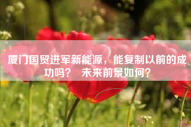 厦门国贸进军新能源，能复制以前的成功吗？  未来前景如何？