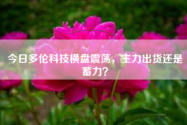 今日多伦科技横盘震荡，主力出货还是蓄力？