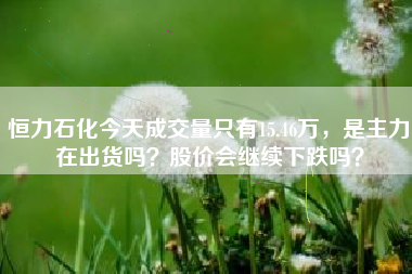 恒力石化今天成交量只有15.46万，是主力在出货吗？股价会继续下跌吗？