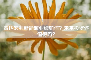 泰达宏利新能源业绩如何？未来投资还值得吗？