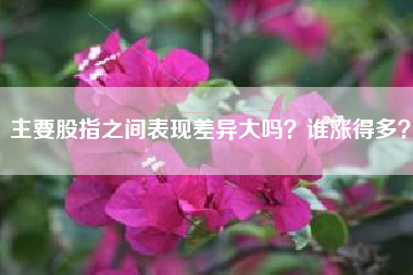 主要股指之间表现差异大吗？谁涨得多？