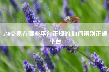 a50交易有哪些平台正规的,如何辨别正规平台