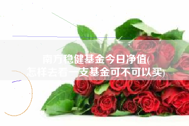 南方稳健基金今日净值(
怎样去看一支基金可不可以买)