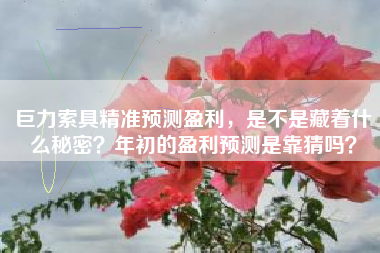 巨力索具精准预测盈利，是不是藏着什么秘密？年初的盈利预测是靠猜吗？