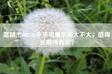 嘉麟杰002486未来发展空间大不大，值得长期持有吗？