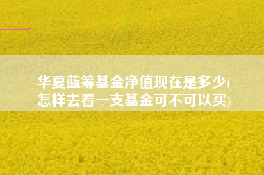 华夏蓝筹基金净值现在是多少(
怎样去看一支基金可不可以买)