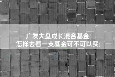 广发大盘成长混合基金(
怎样去看一支基金可不可以买) 广发大盘成长混合基金(
怎样去看一支基金可不可以买)