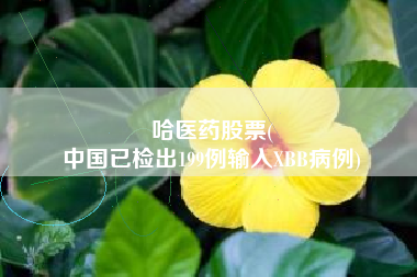哈医药股票(
中国已检出199例输入XBB病例)
