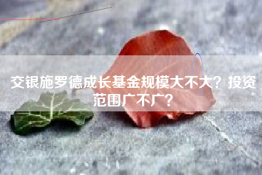 交银施罗德成长基金规模大不大？投资范围广不广？