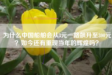 为什么中国船舶会从3元一路飙升至300元？如今还有重现当年的辉煌吗？