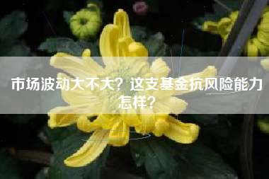 市场波动大不大？这支基金抗风险能力怎样？