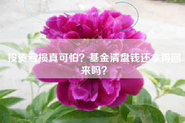 投资亏损真可怕？基金清盘钱还拿得回来吗？