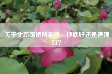关于北新路桥的未来，抄底好还是逃顶好？