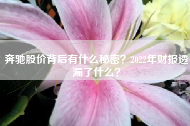 奔驰股价背后有什么秘密？2022年财报透漏了什么？