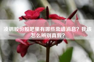凌钢股份股吧里有哪些靠谱消息？我该怎么辨别真假？