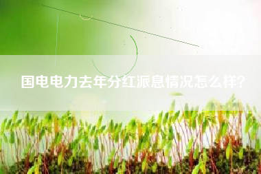 国电电力去年分红派息情况怎么样？