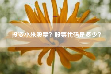 投资小米股票？股票代码是多少？