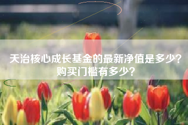 天治核心成长基金的最新净值是多少？购买门槛有多少？