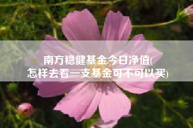 南方稳健基金今日净值(
怎样去看一支基金可不可以买)