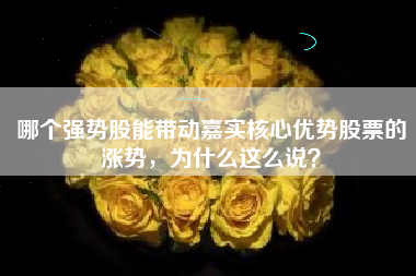 哪个强势股能带动嘉实核心优势股票的涨势，为什么这么说？