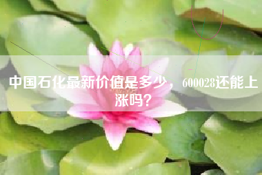 中国石化最新价值是多少，600028还能上涨吗？