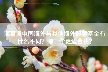 海富通中国海外与其他海外股票基金有什么不同？哪一个更适合我？