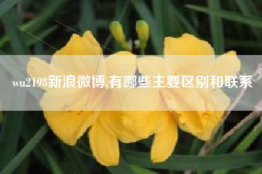 wu2198新浪微博,有哪些主要区别和联系
