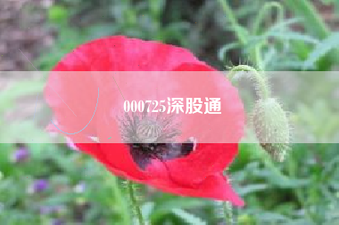 000725深股通