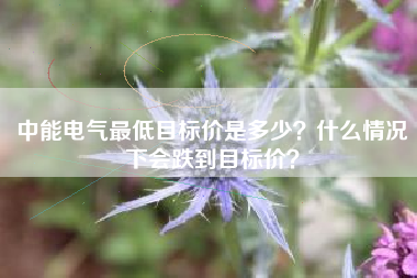 中能电气最低目标价是多少？什么情况下会跌到目标价？