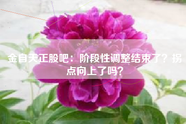金自天正股吧：阶段性调整结束了？拐点向上了吗？