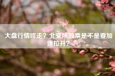大盘行情咋走？北交所股票是不是要加速拉升？