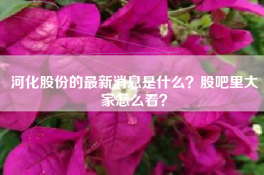 河化股份的最新消息是什么？股吧里大家怎么看？