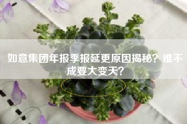如意集团年报季报延更原因揭秘？难不成要大变天？