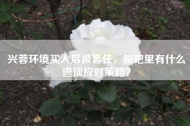 兴蓉环境买入后被套住，股吧里有什么逃顶应对策略？