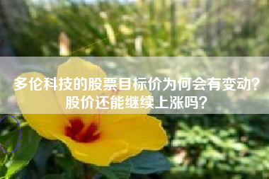 多伦科技的股票目标价为何会有变动？股价还能继续上涨吗？