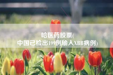 哈医药股票(
中国已检出199例输入XBB病例)