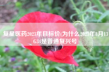 复星医药2023年目标价(为什么2023年8月13G34是普通复兴号
) 复星医药2023年目标价(为什么2023年8月13G34是普通复兴号
)