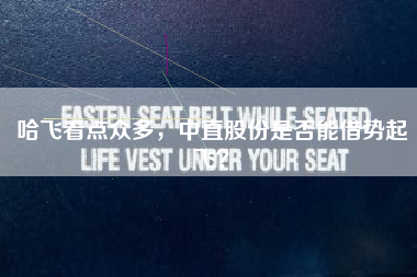 哈飞看点众多，中直股份是否能借势起飞？