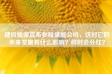 建投能源宣布参股储能公司，这对它的未来发展有什么影响？何时会分红？